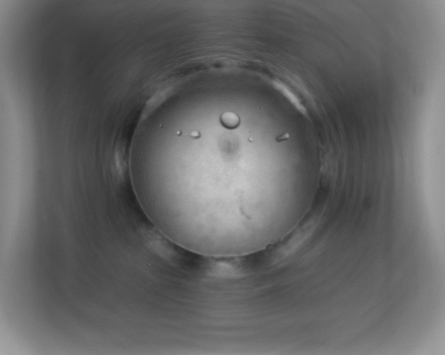 X0000113920285200909241536