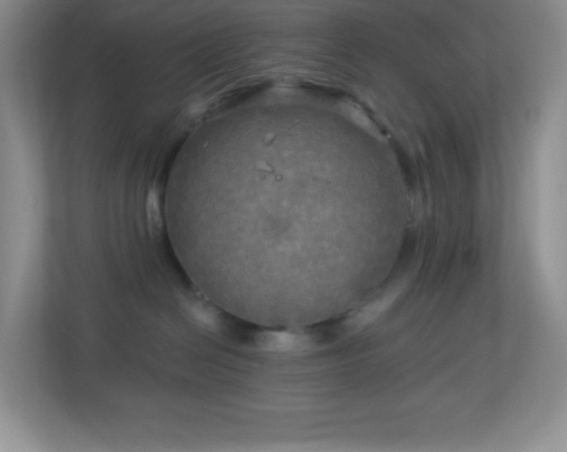 X0000113920286200909241536