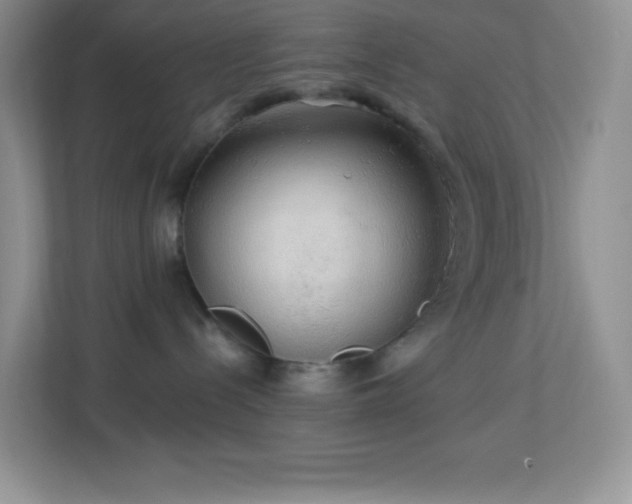 X0000113920288200909241536