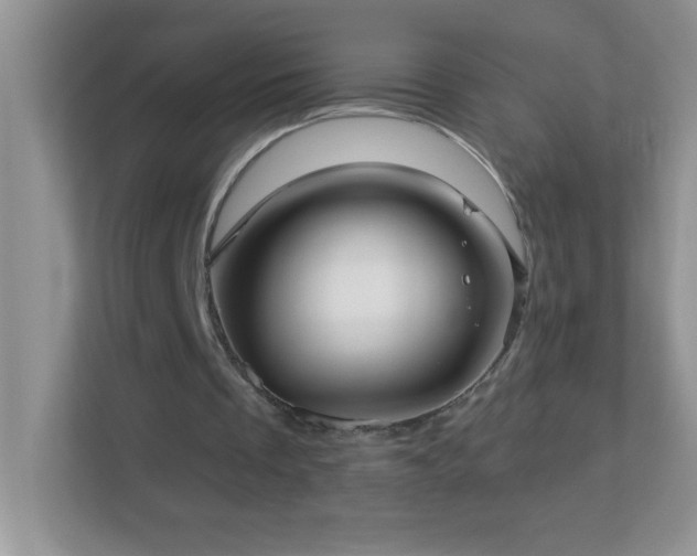 X0000113920289200909241535