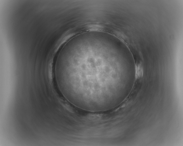 X0000113920291200909241535