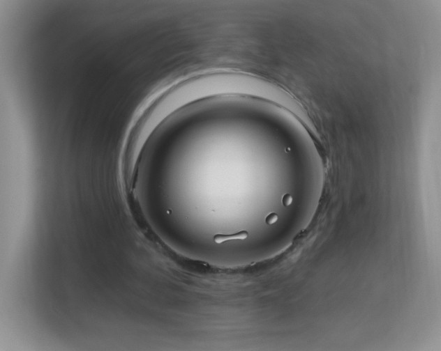 X0000113920292200909241535