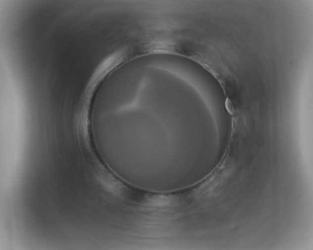 X0000113920293200909241535