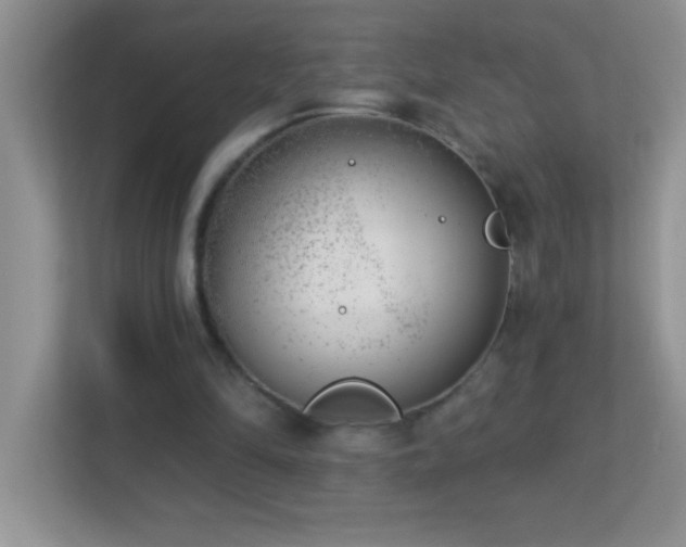 X0000113920294200909241535