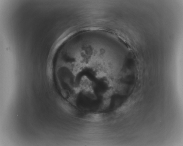 X0000113920295200909241535