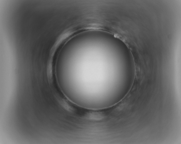 X0000113920296200909241535