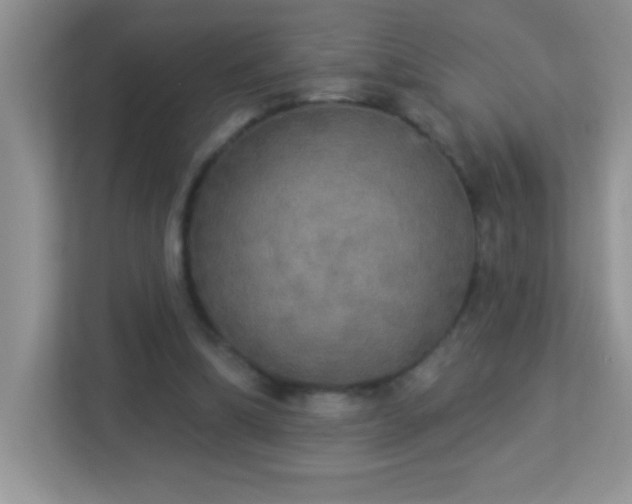 X0000113920298200909241535