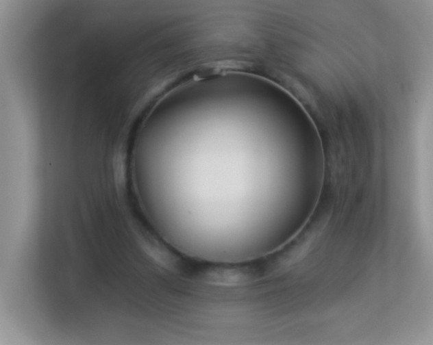 X0000113920299200909241535