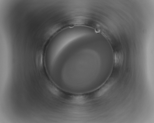 X0000113920301200909241535