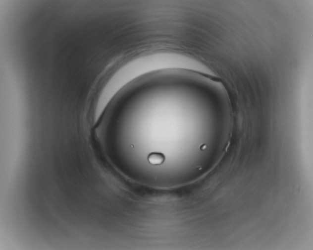 X0000113920304200909241535