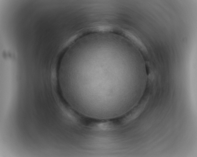 X0000113920306200909241535