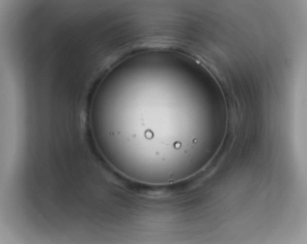 X0000113920309200909241535