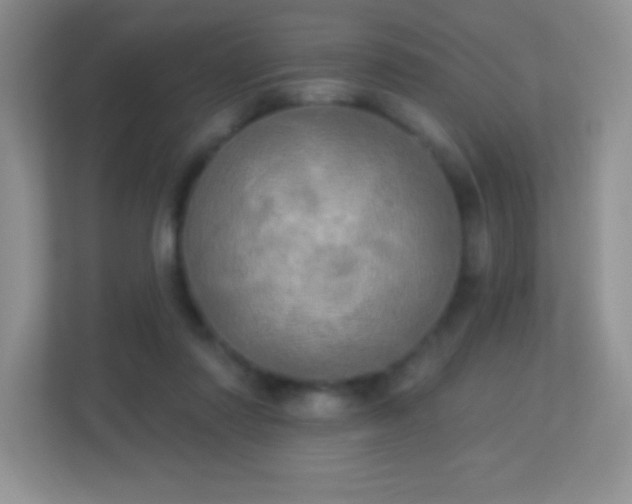 X0000113920310200909241535