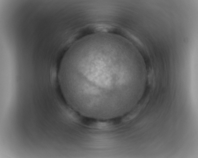 X0000113920314200909241535