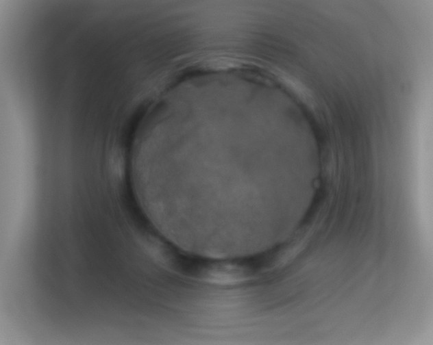 X0000113920315200909241535