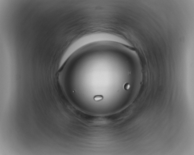 X0000113920316200909241535