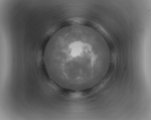 X0000113920318200909241535