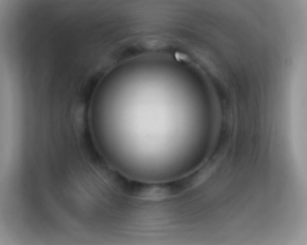 X0000113920319200909241535