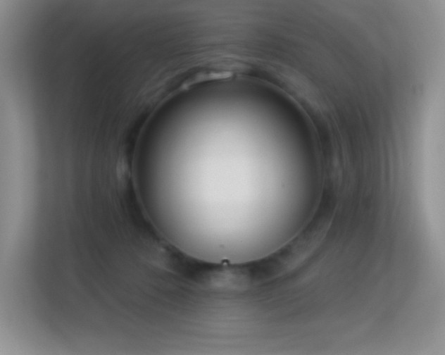 X0000113920320200909241535