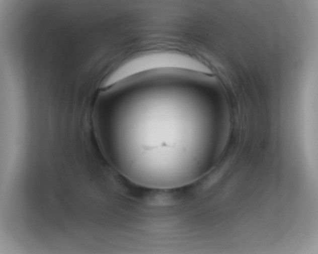 X0000113920325200909241535