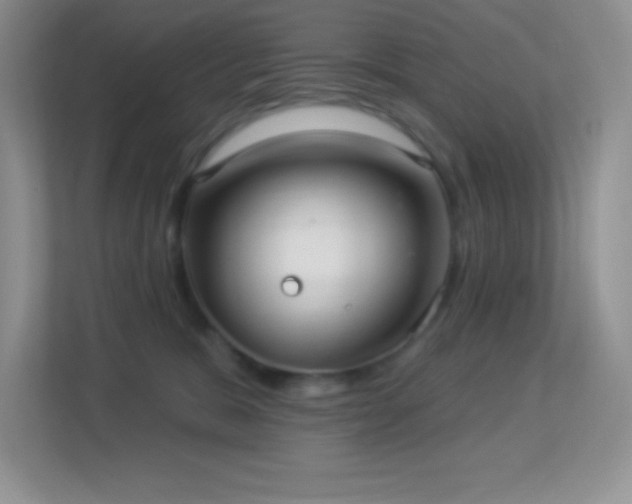 X0000113920327200909241535