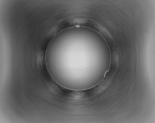 X0000113920328200909241535