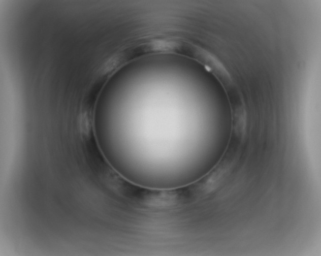 X0000113920329200909241535