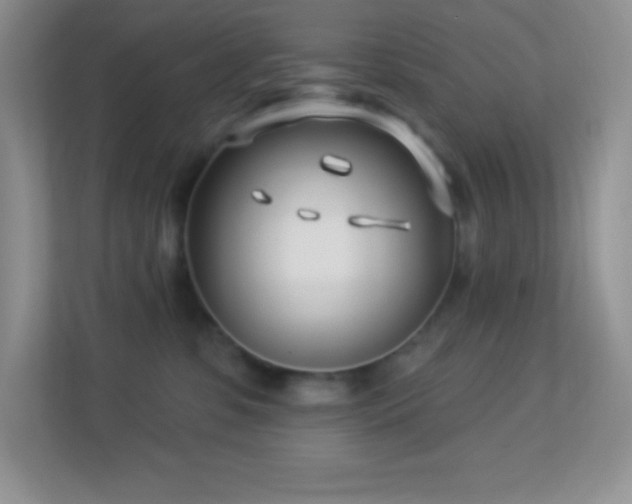 X0000113920331200909241535