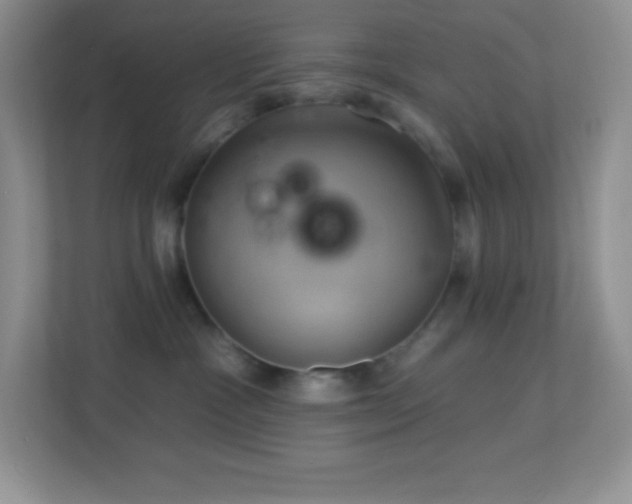 X0000113920333200909241535