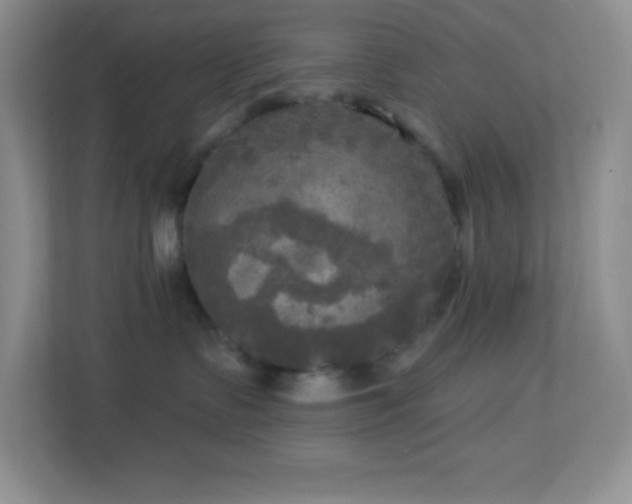 X0000113920335200909241535