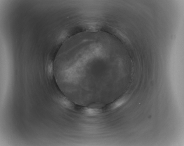 X0000113920336200909241535