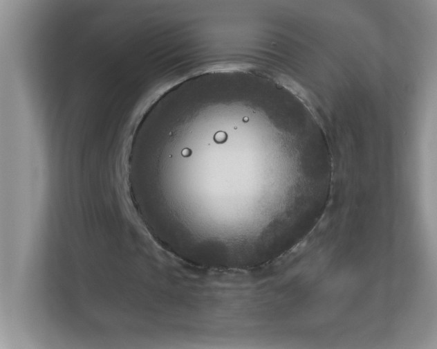 X0000113920337200909241534