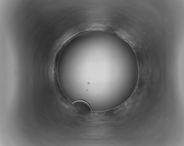 X0000113920338200909241534