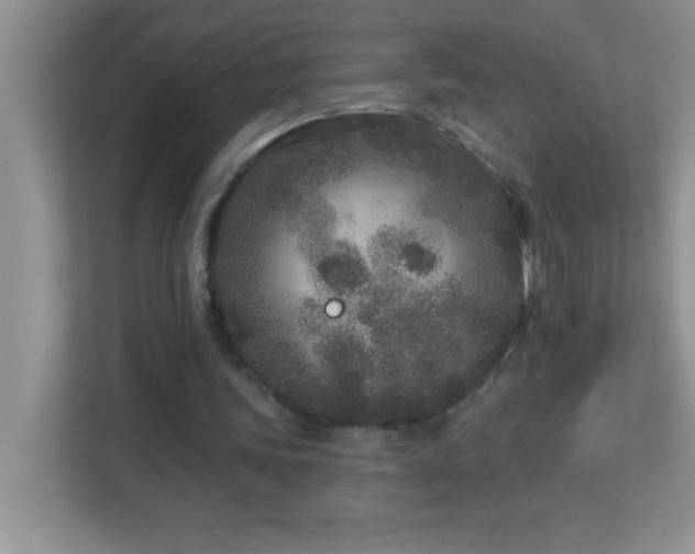 X0000113920339200909241534