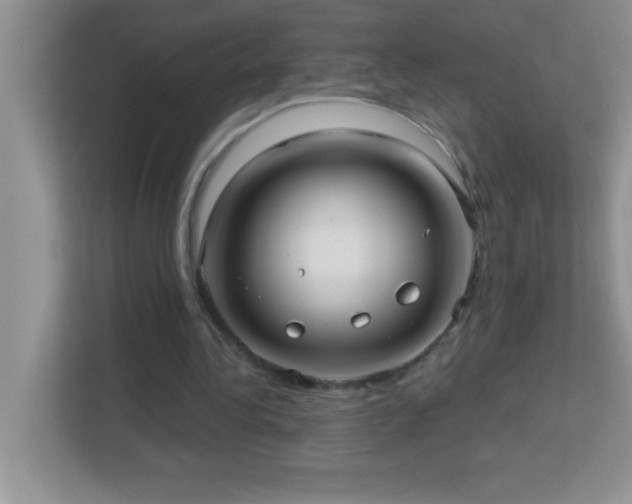 X0000113920340200909241534