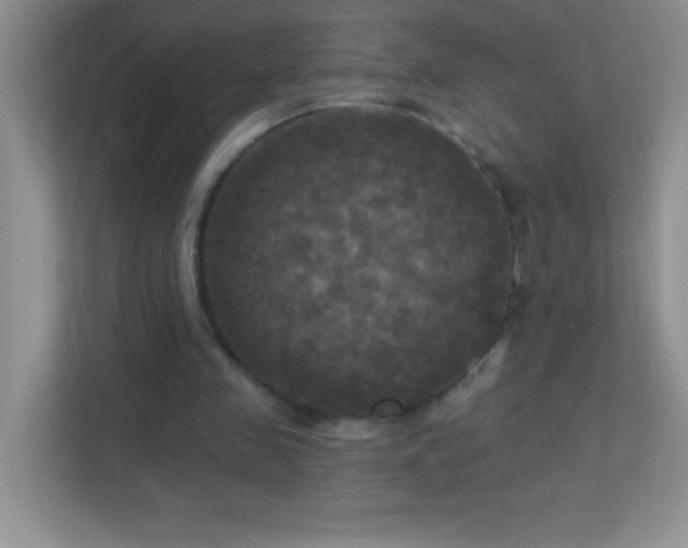 X0000113920341200909241534