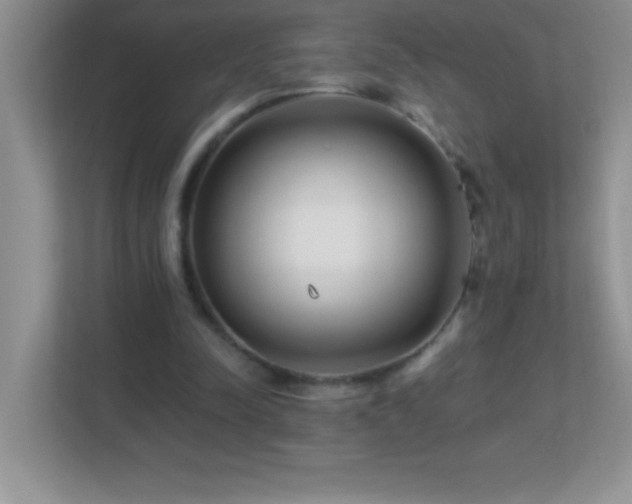 X0000113920342200909241534