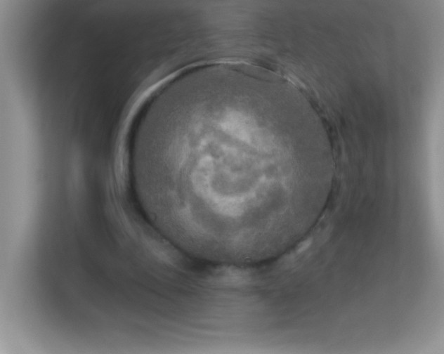 X0000113920343200909241534