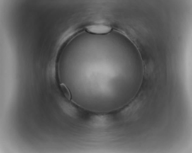 X0000113920344200909241534