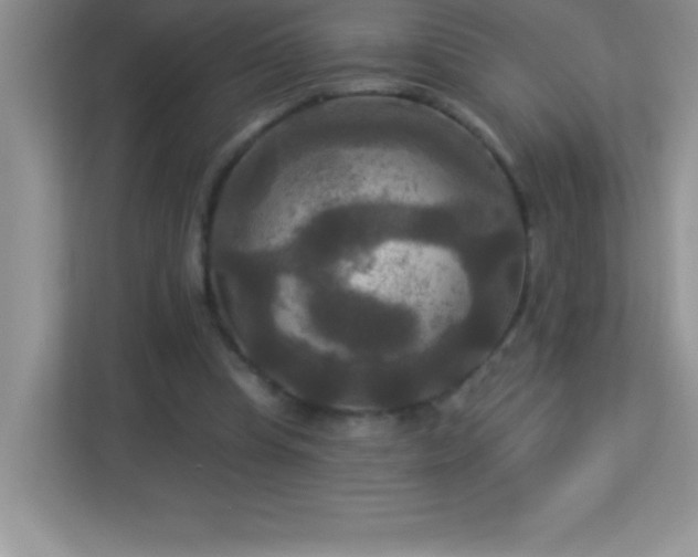 X0000113920345200909241534