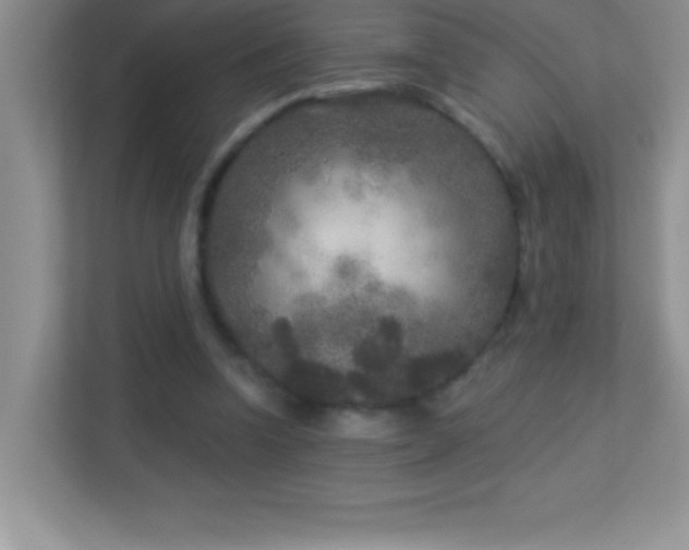 X0000113920346200909241534