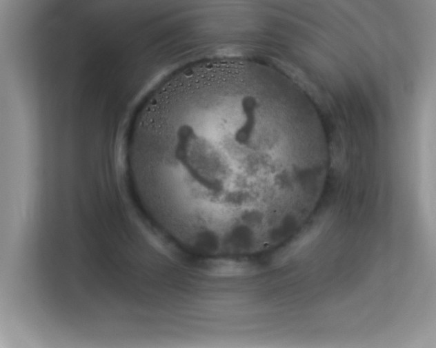 X0000113920347200909241534