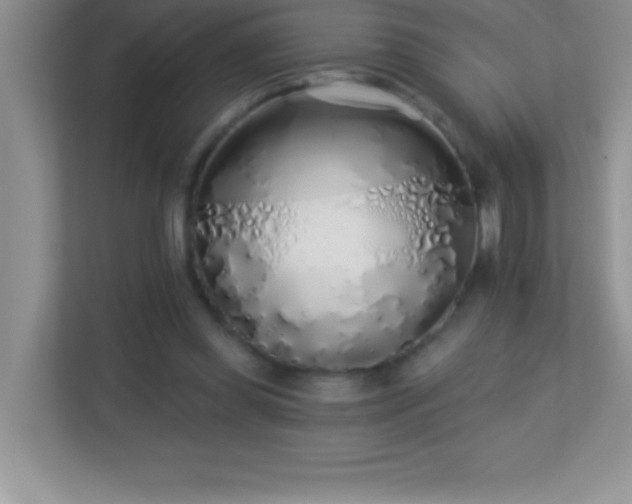 X0000113920349200909241534