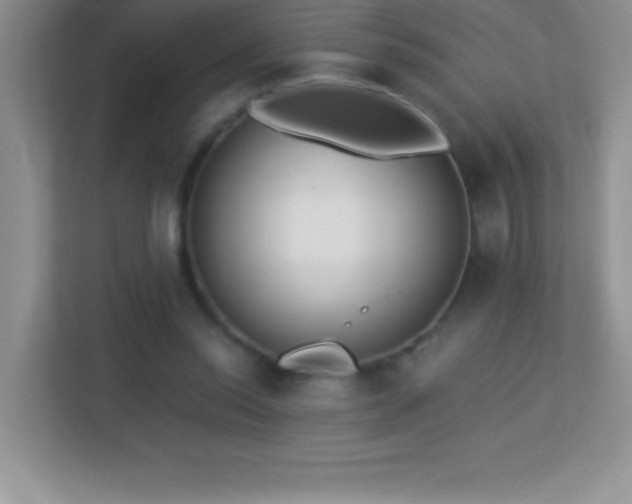 X0000113920350200909241534