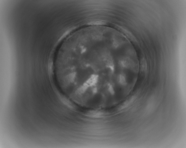 X0000113920351200909241534