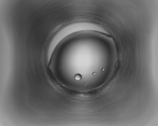 X0000113920352200909241534