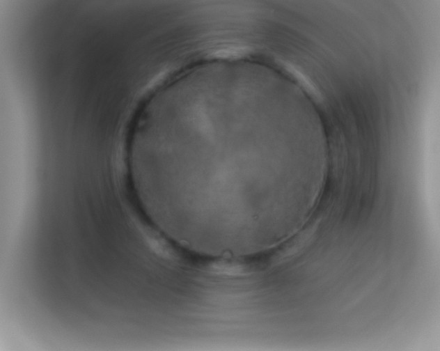 X0000113920354200909241534