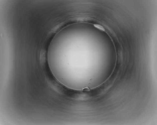 X0000113920356200909241534