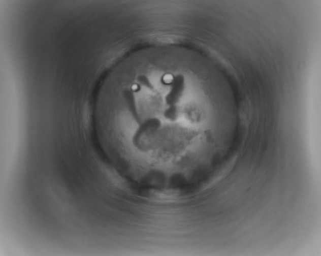 X0000113920359200909241534