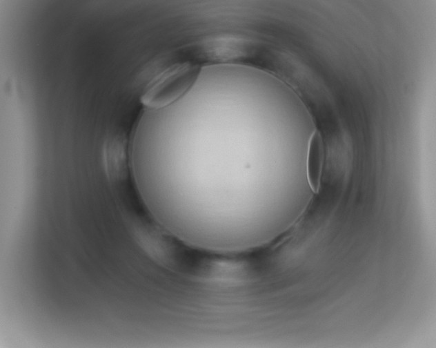 X0000113920360200909241535